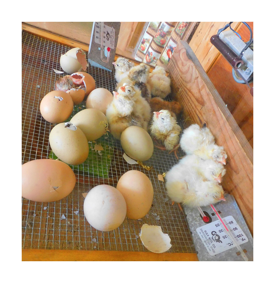 Photo titled Just Out