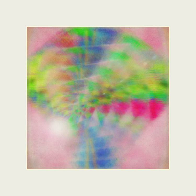 Picture titled Kite in the Sun