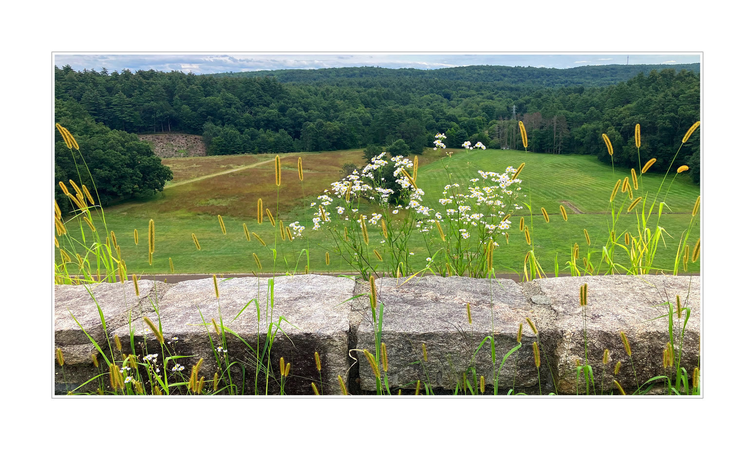 Photo titled Late Summer at the Dam