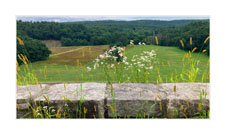 Thumbnail titled Late Summer at the Dam