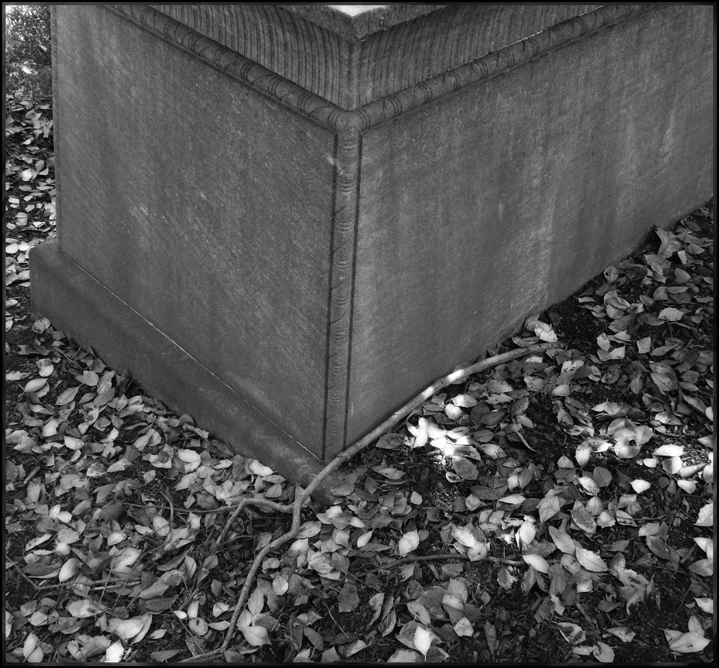 Photo titled Leaf Light