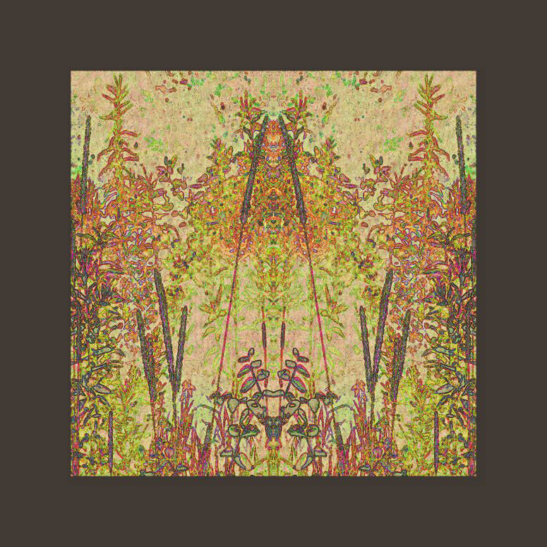 Picture titled Lepidoleum
