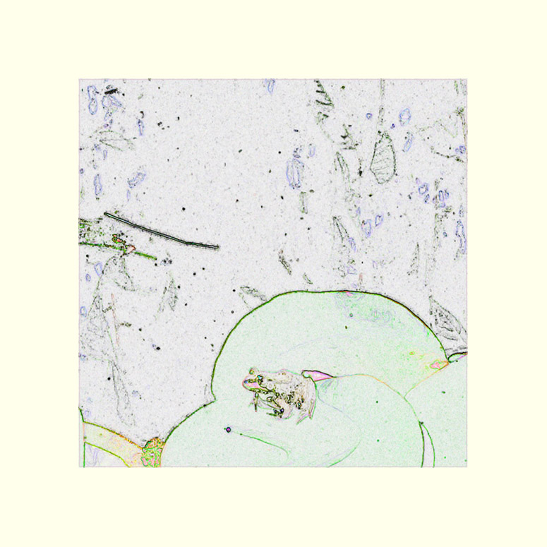 Picture titled Life Is But a Dream