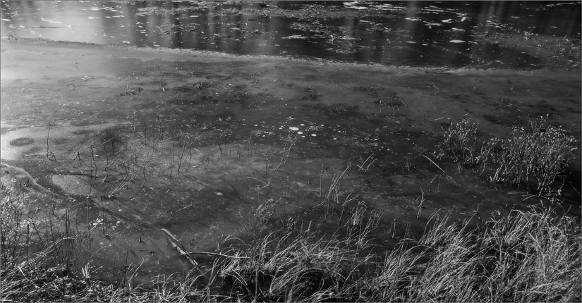 Photo titled Liminal Zone (Return to Hoo's Woods)