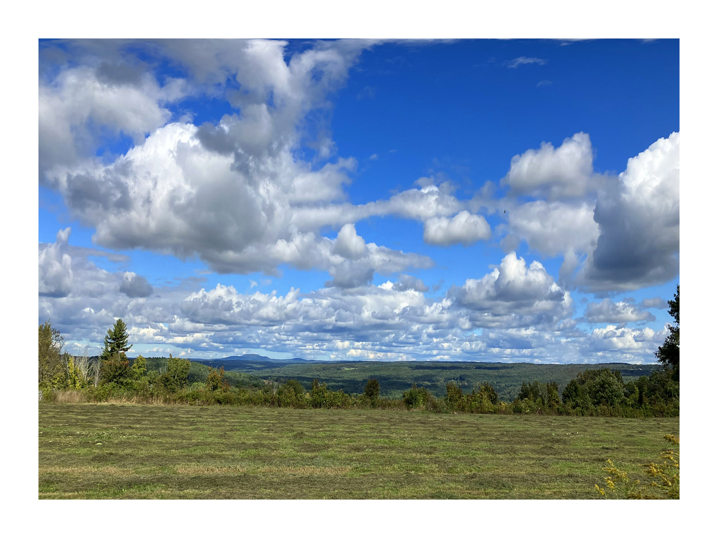 Photo titled Mandell's Meadow View