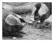 Thumbnail titled Meaningful Relationship