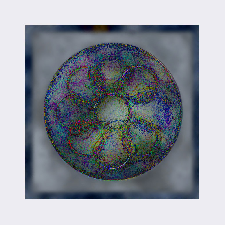 Picture titled Mooncatcher