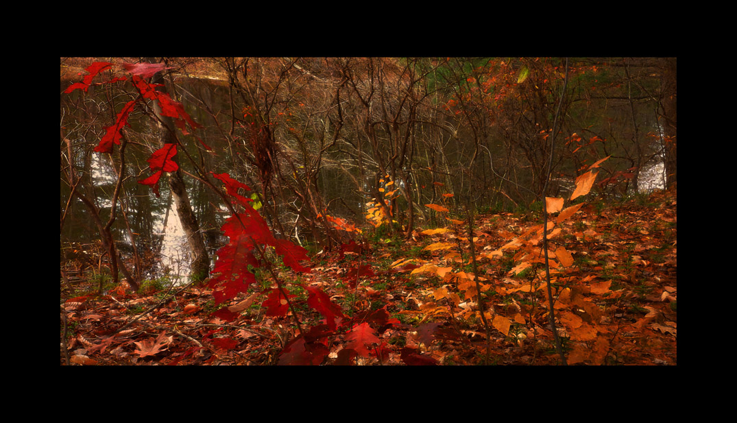 Photo titled November Colors