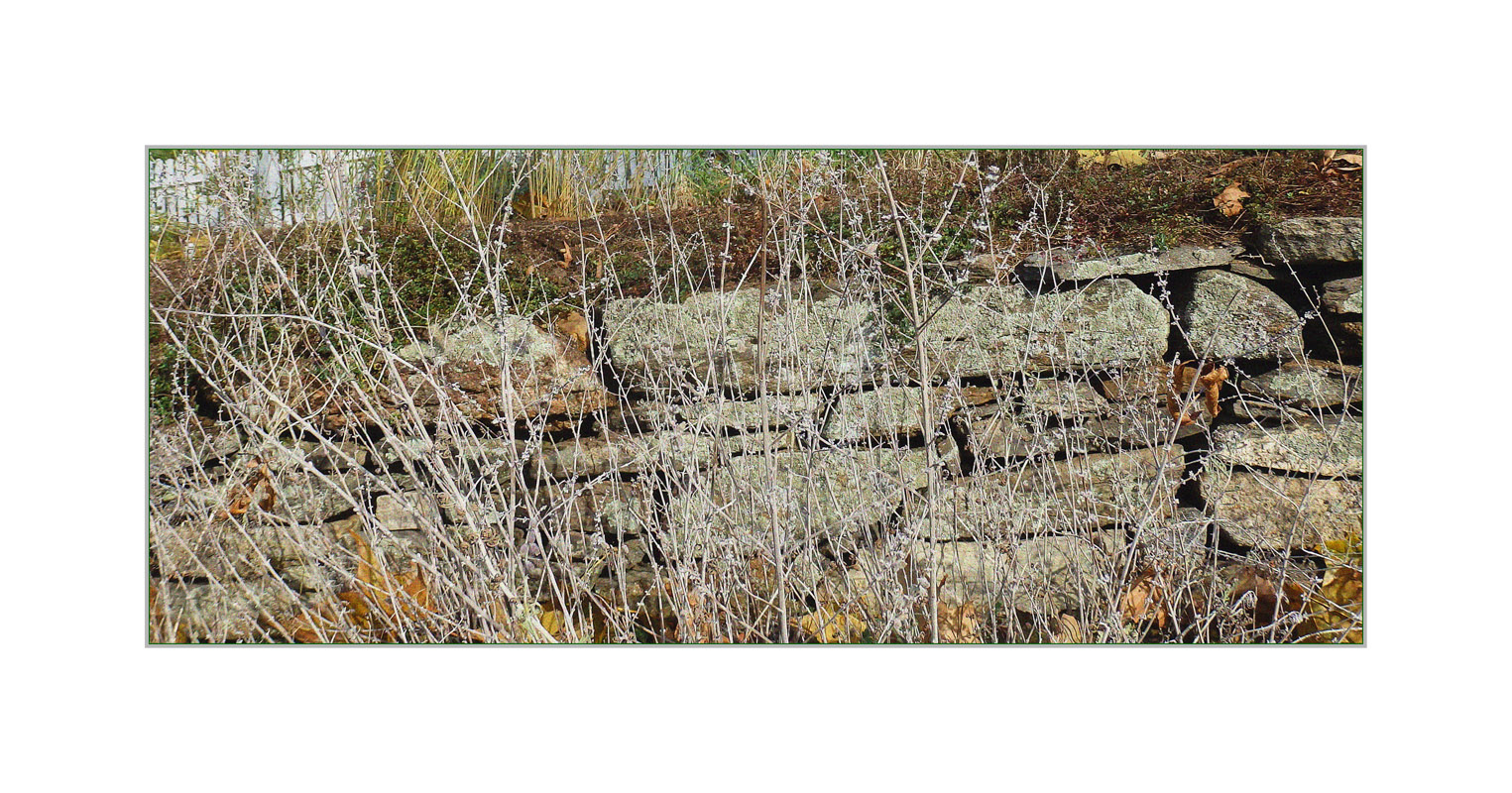 Photo titled Obstructed View