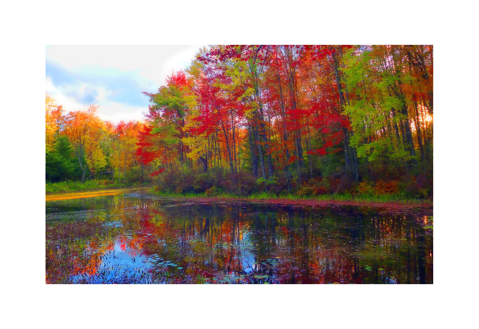 Photo titled October Colors