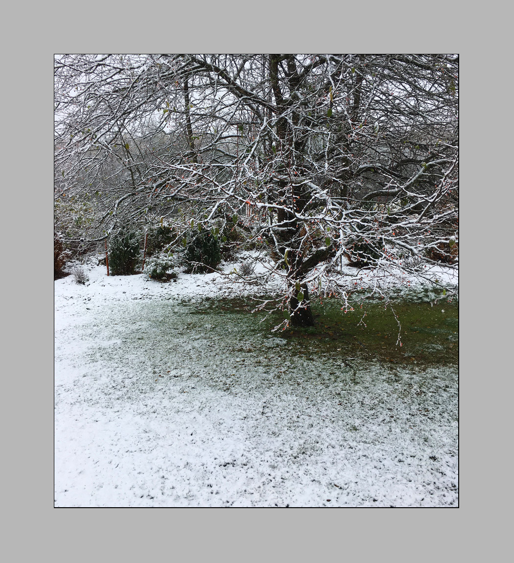 Photo titled October Snow