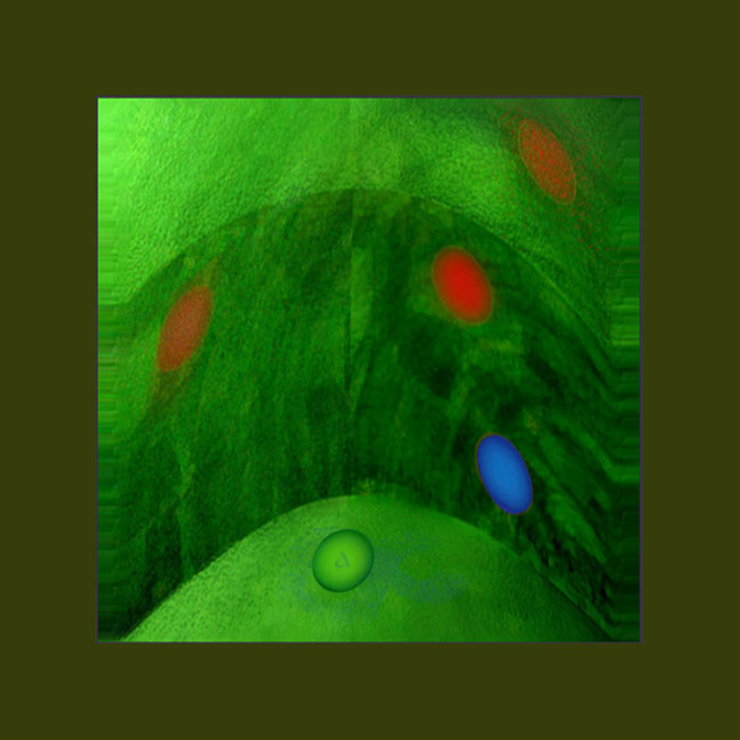 Picture titled Omalfea