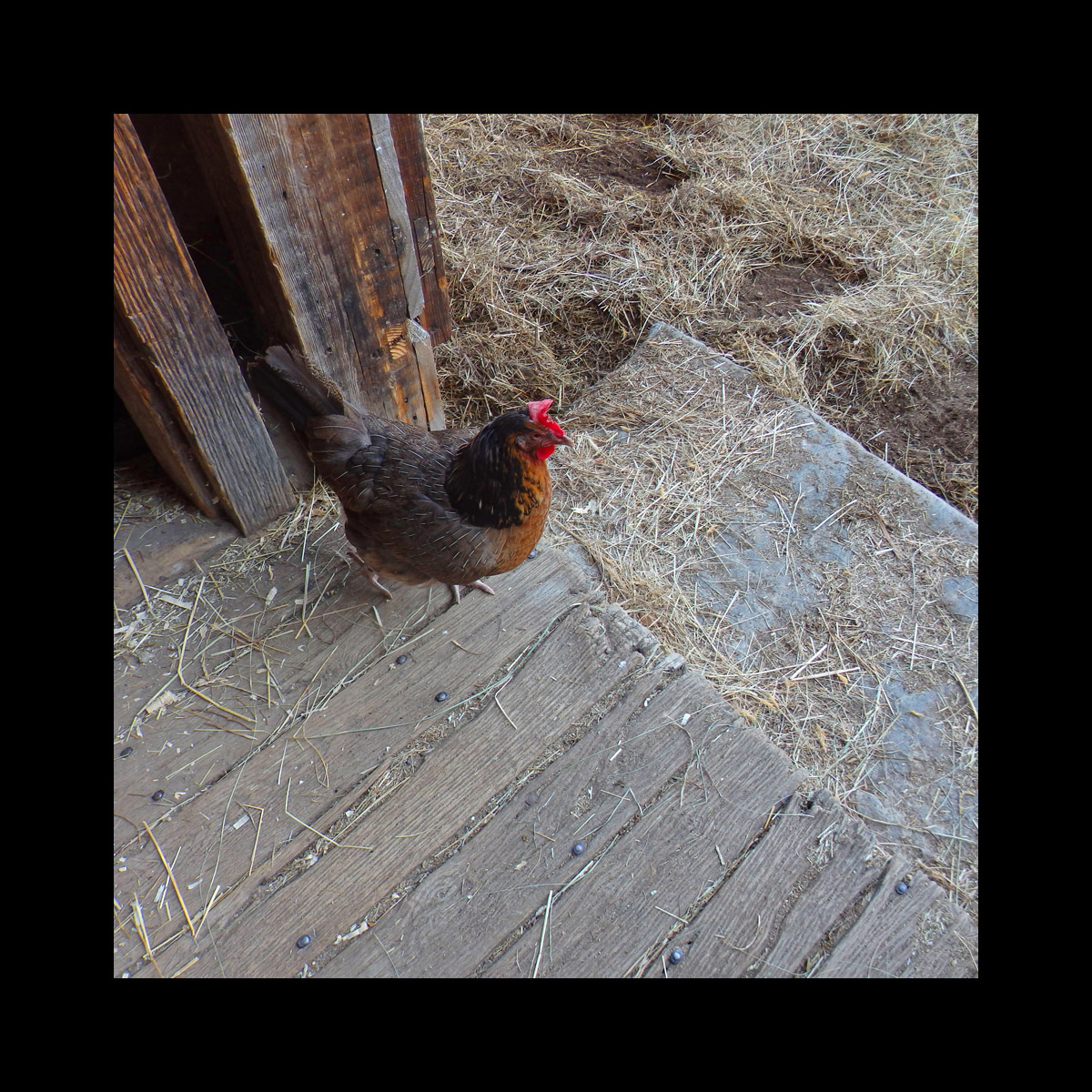 Photo titled On the Threshold