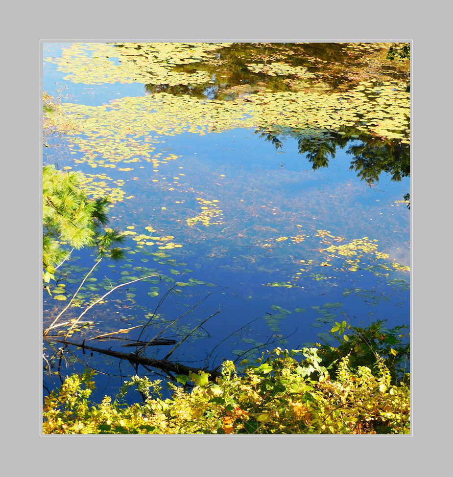 Photo titled Sturbridge Village Pond