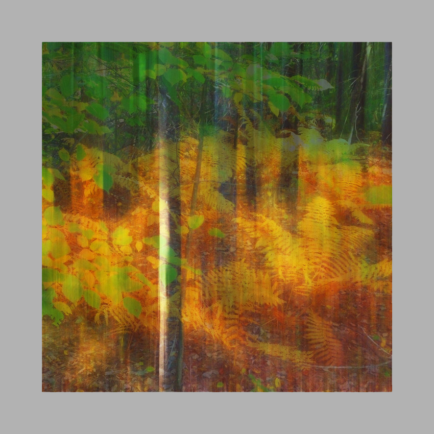 Photo titled Autumn Overlay