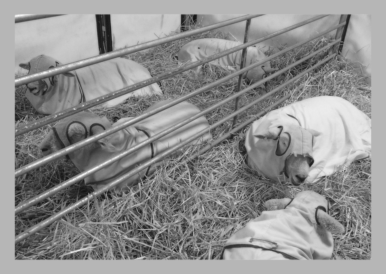 Photo titled Flight Suits