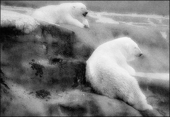 Photo titled Hiroshi and Me On the Rocks (Just Kidding!)