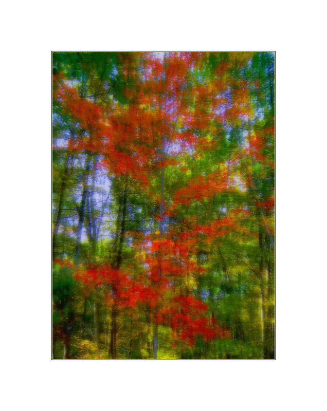 Photo titled Primary Colors