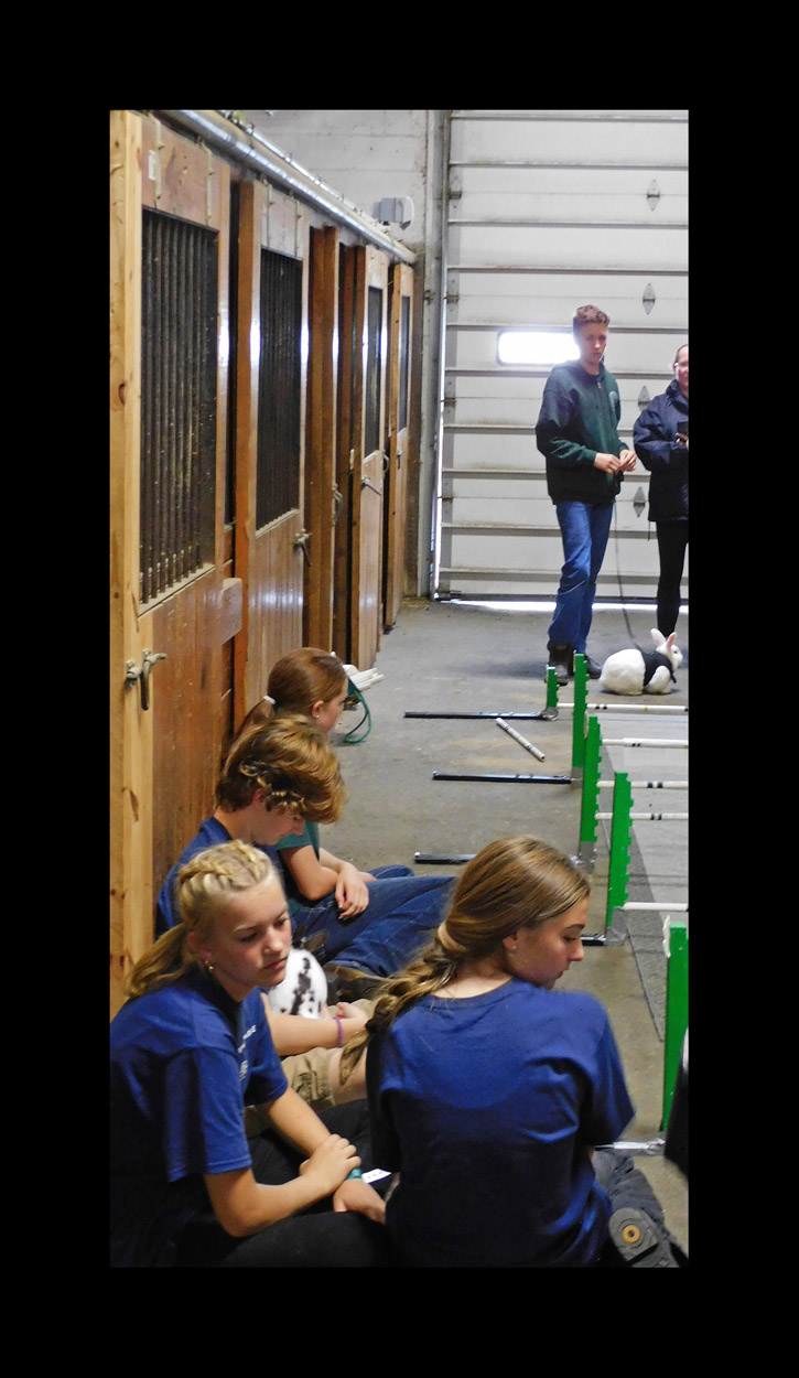 Photo titled Scene From a Rabbit Competition