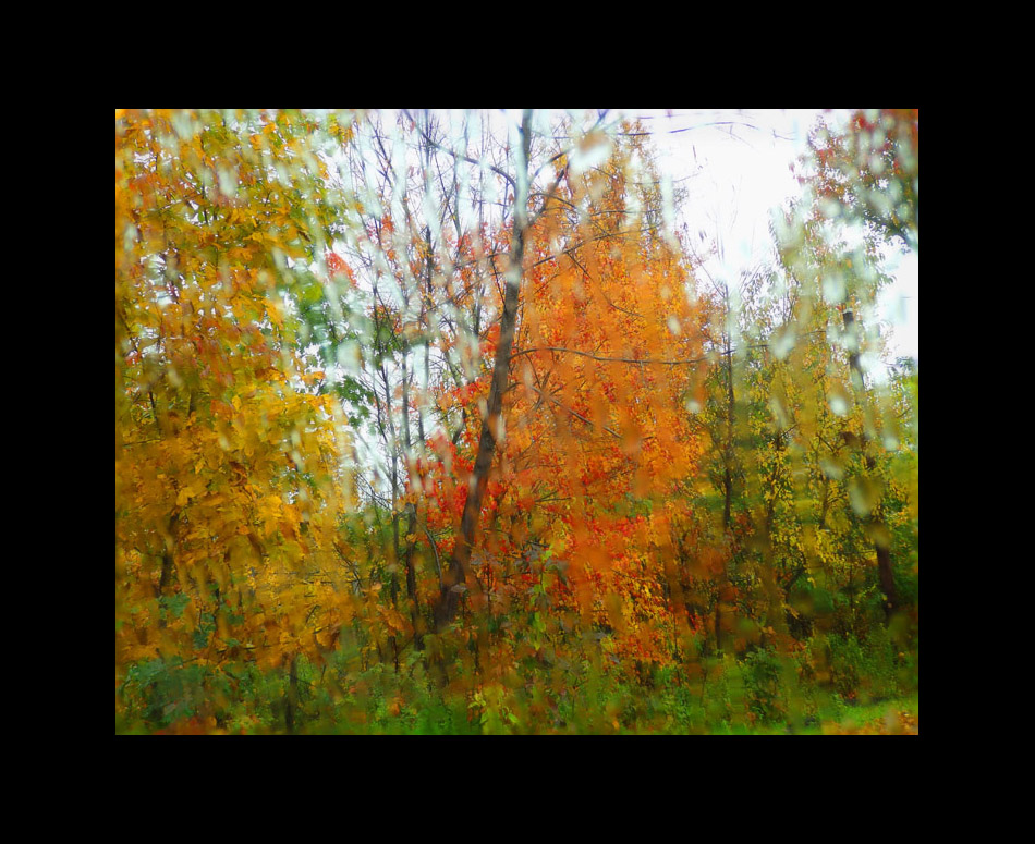 Photo titled Rainy Day