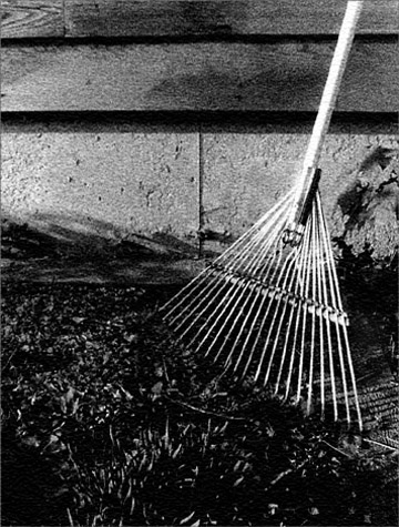 Photo titled Rake