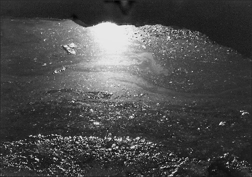 Photo titled Reflection