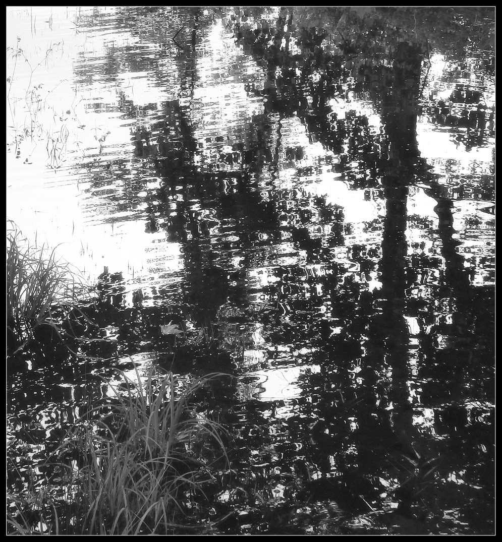 Photo titled Ripple Distortion