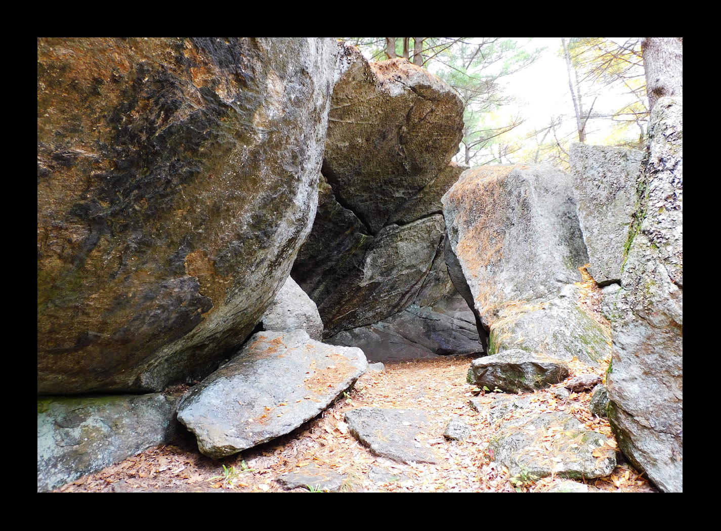 Photo titled Rock Shelter