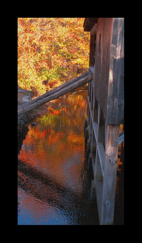 Photo titled Sawmill Pool