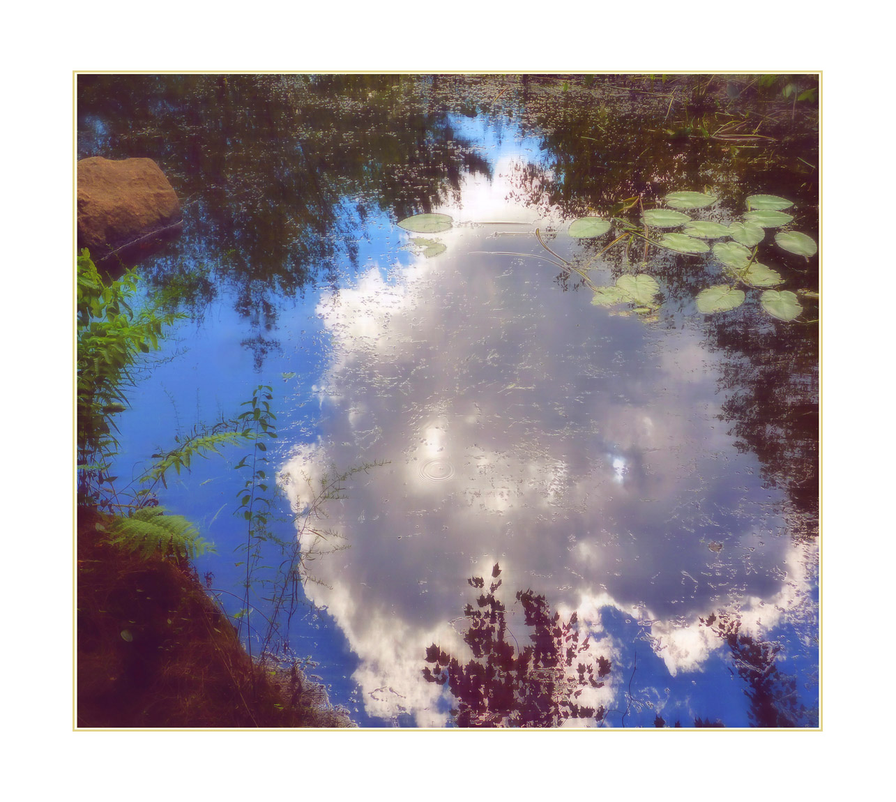 Photo titled Summer Day Reflection