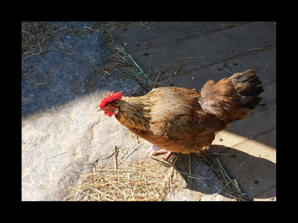 Photo titled Shadow Caster