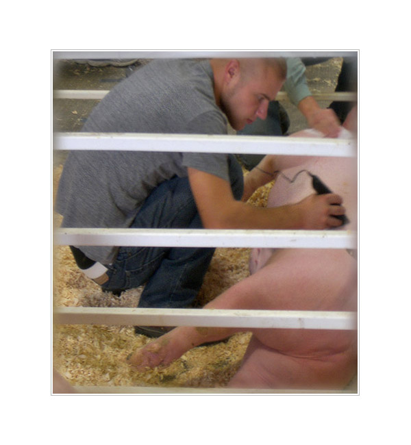 Photo titled Shaving