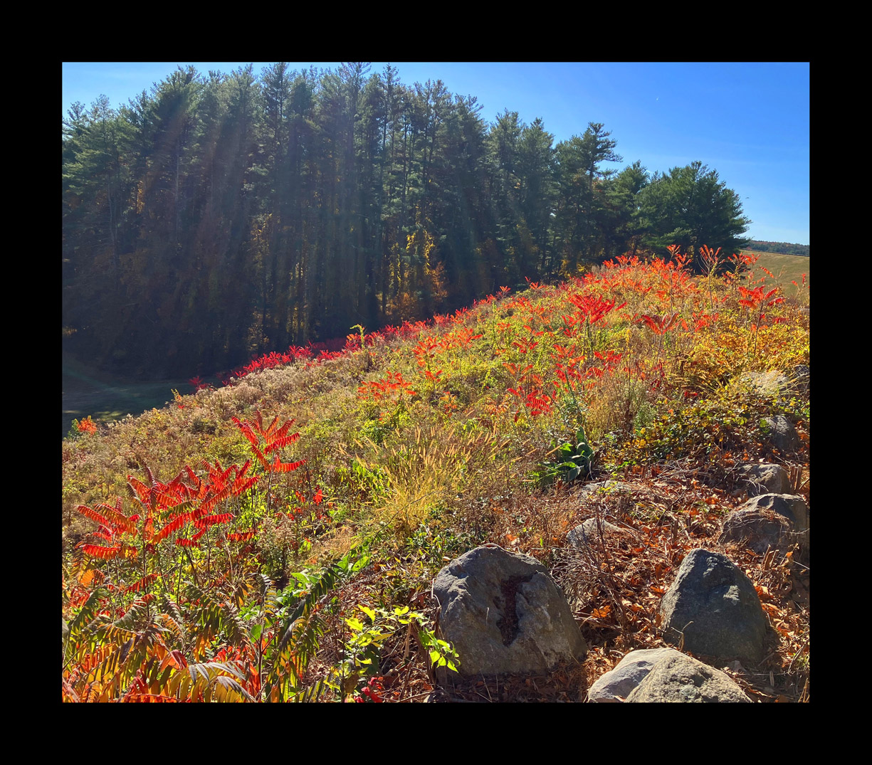 Photo titled Spillway Slope