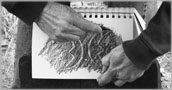 Thumbnail titled Stone Rubbing