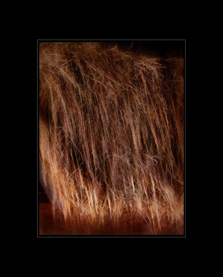Photo titled Straw Into Gold