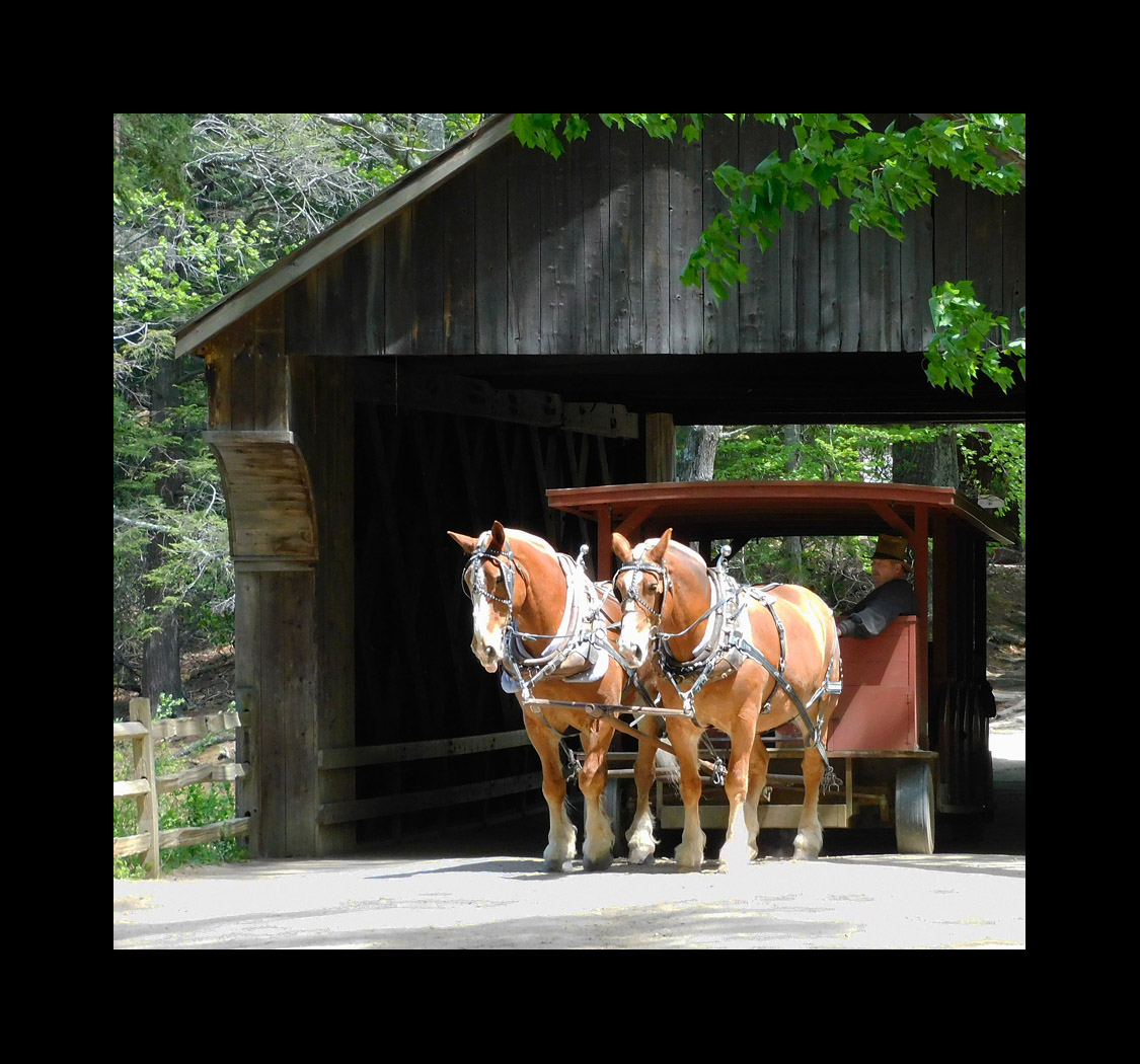 Photo titled Sturbridge Village Wagon