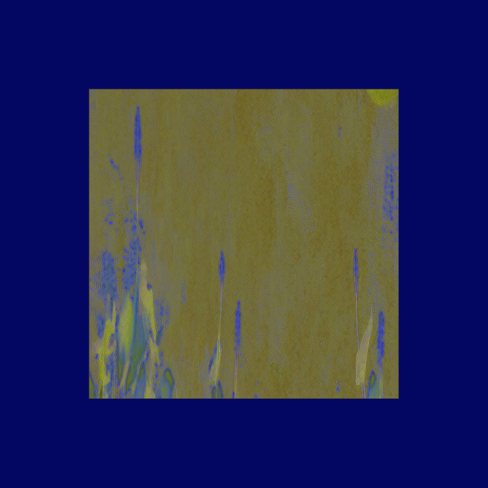 Picture titled Summer Again