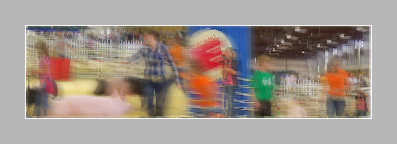 Photo titled Swine Movement 2011