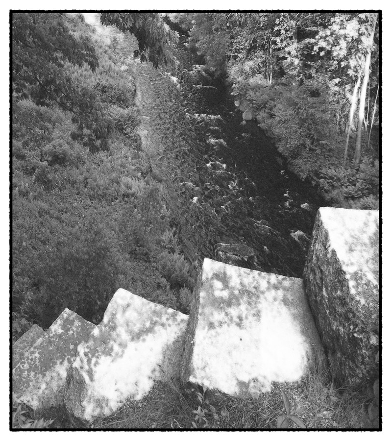 Photo titled Treetop Stair