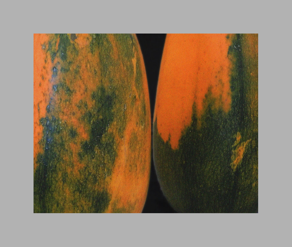 Photo titled Two Worlds and In Between