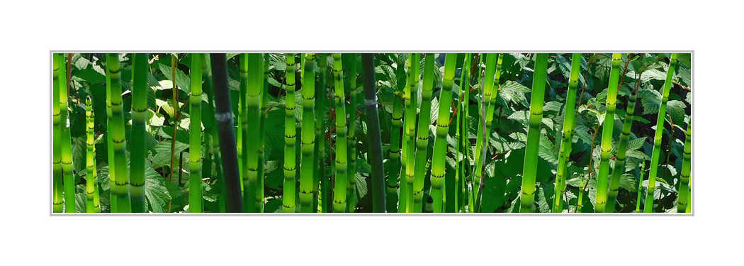 Photo titled Untitled