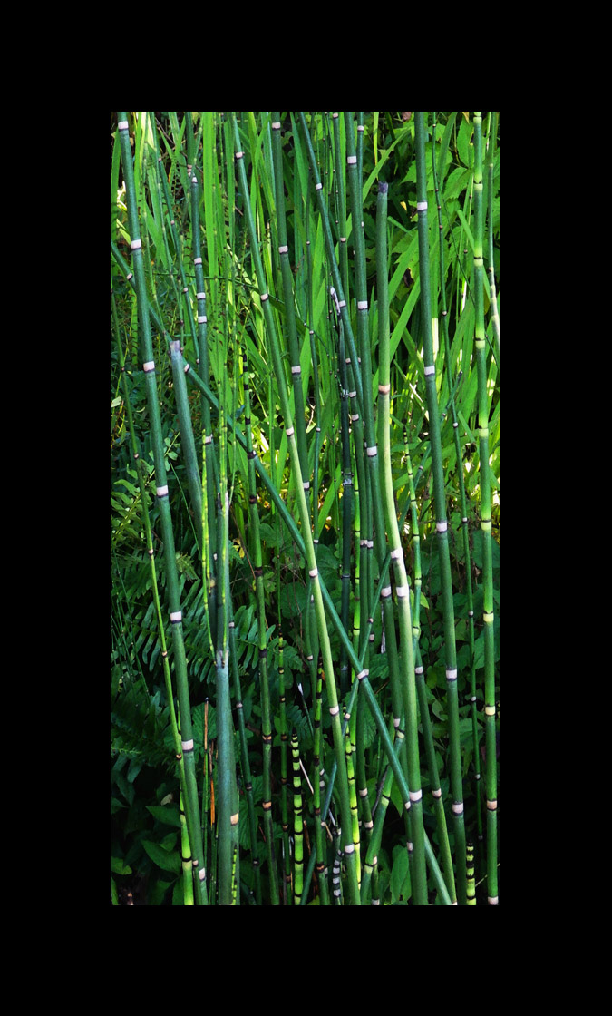 Photo titled Vertical