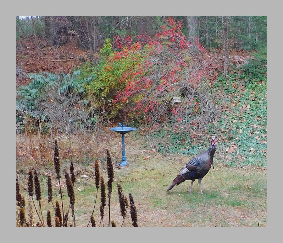 Photo titled Who Is Looking At Me?