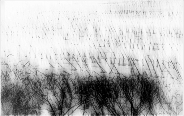 Photo titled Winter Field