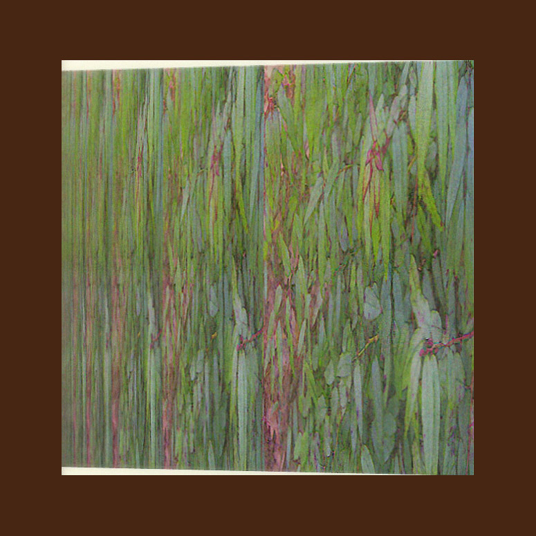 Picture titled Zeno's Paradise